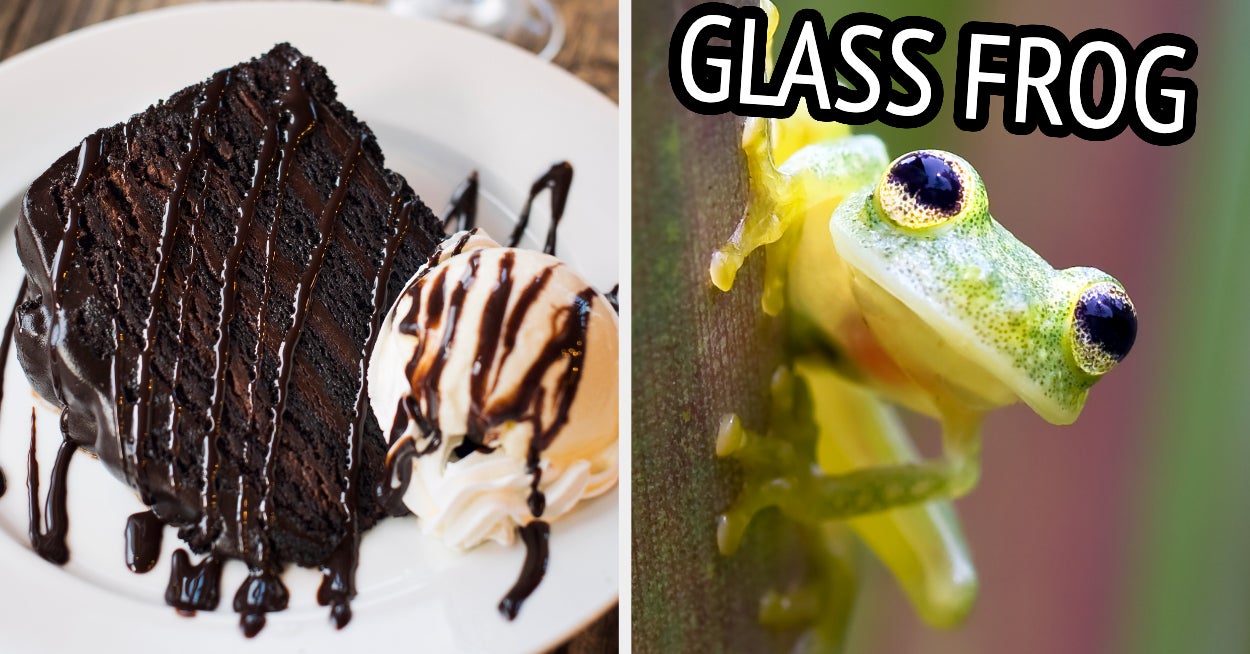 Eat Just Desserts And I'll Tell You Which Frog Matches Your Unique Vibe