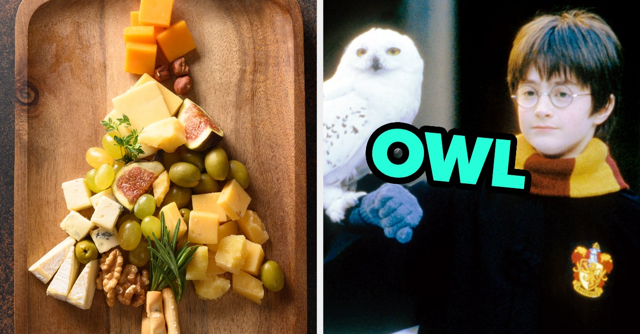 Which Winter Animal Are You Based On The Holiday Potluck You Plan?