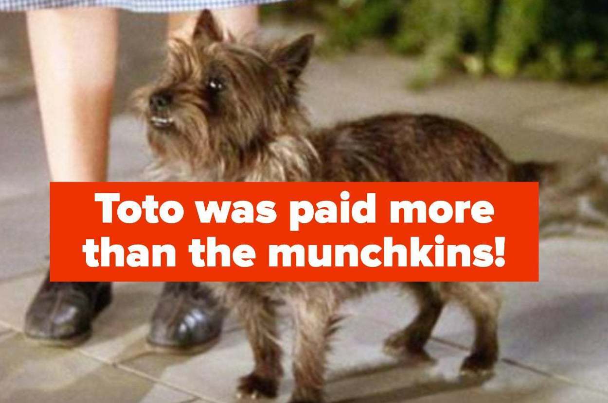 13 Facts About Animals In Movies That Sound Fake, But Are Totally True