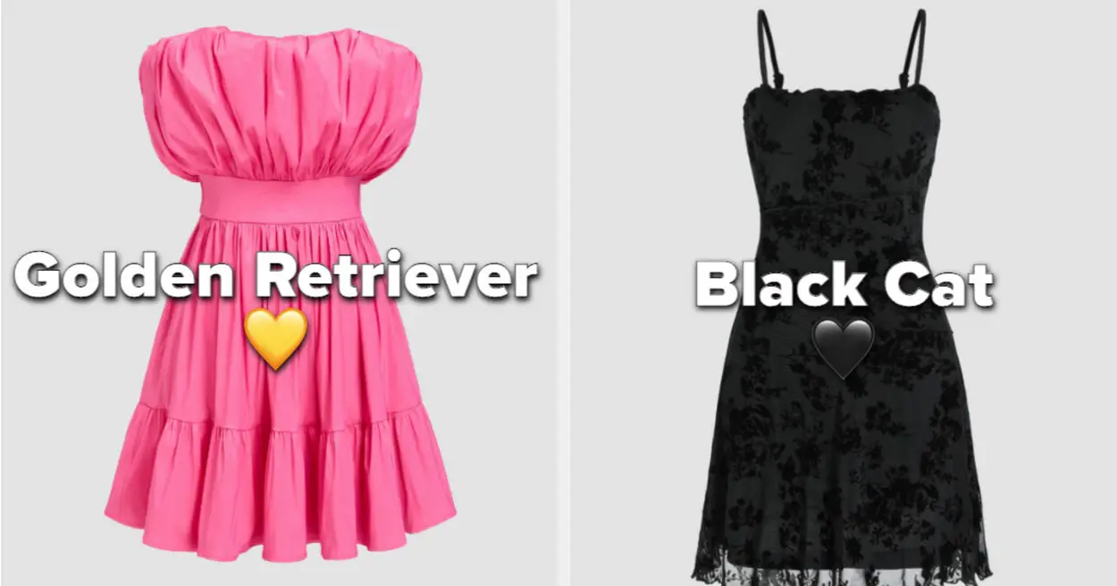 Do You Have More Golden Retriever Energy Or Black Cat Energy? Your Closet Will Tell!