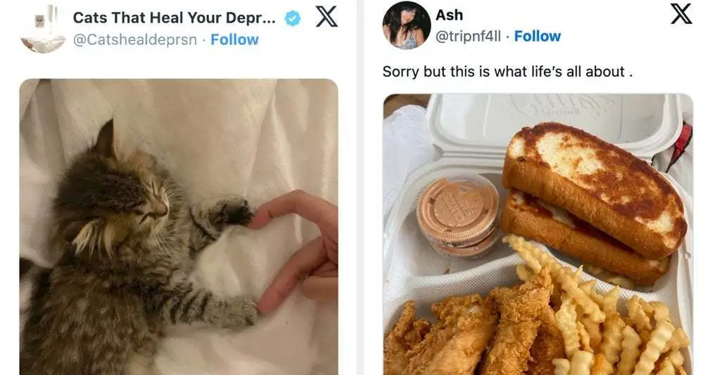 Here Are 21 Suuuper Comforting Posts I Saw Online This Week That Made Me Stop Scrolling And Say, "Oooh, THAT'S What I'm Talkin' About"