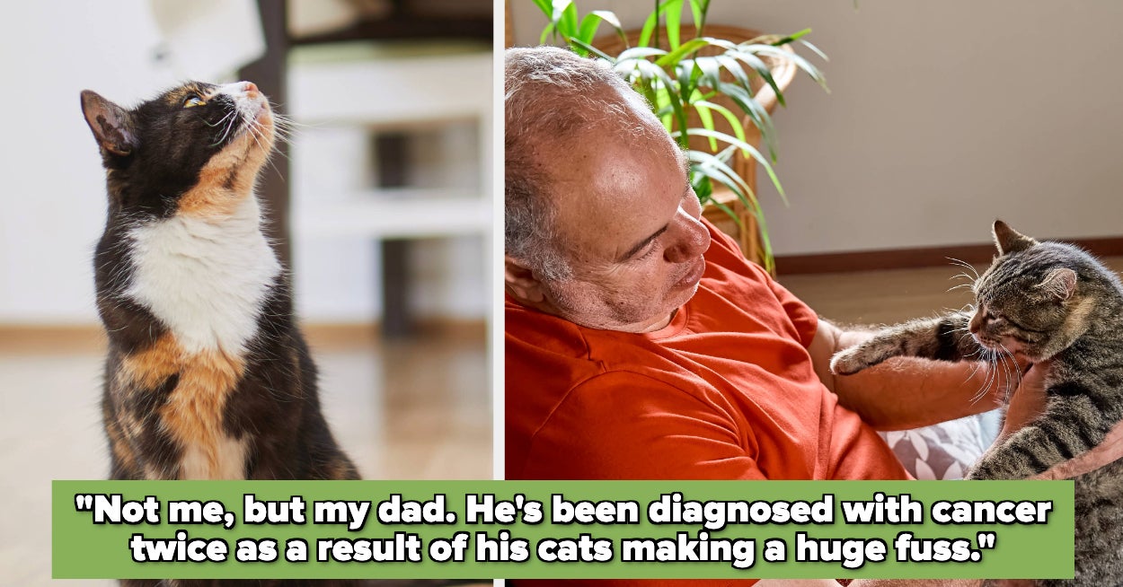 People Are Sharing How Their Pets Saved Them From Danger