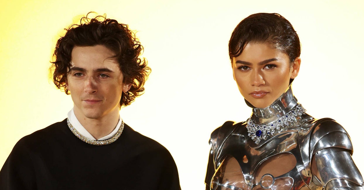 Fans Compare Zendaya And Timothée Chalamet's Dune Premiere Outfits