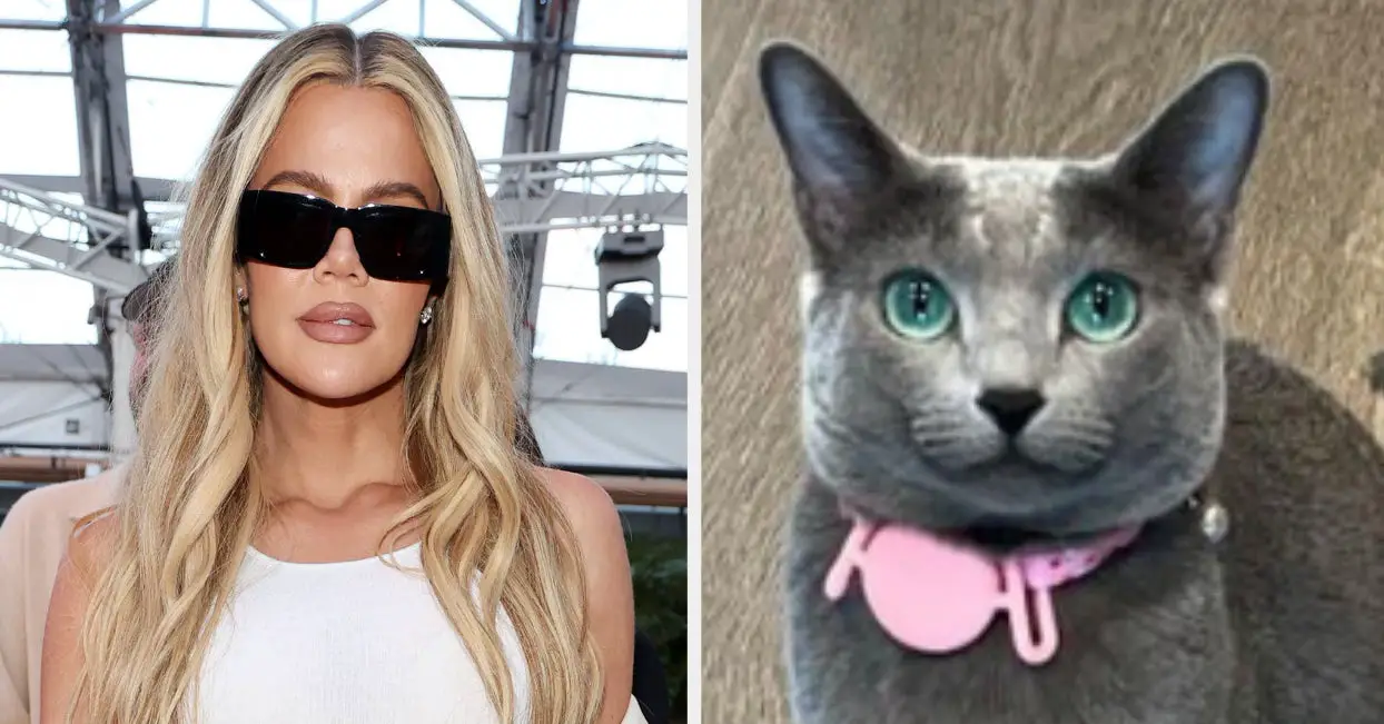 Khloé Kardashian Has Been Accused Of Forgetting To Turn Off Her “Default Filter” When She Took A Photo Of Her Cat