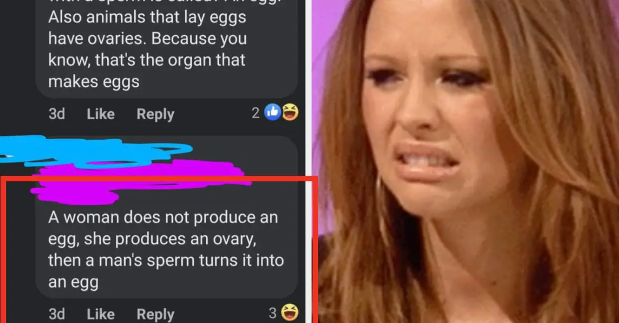 Men Being Clueless About Women's Anatomy