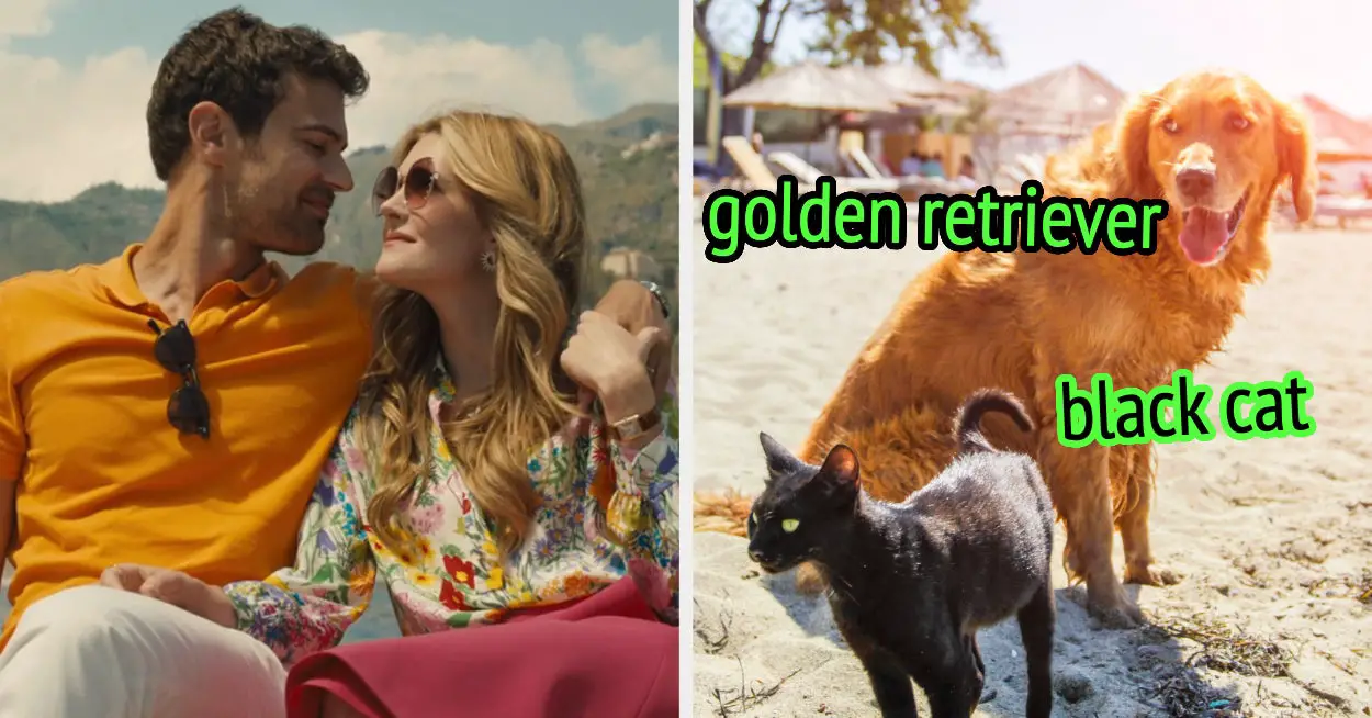 Travel Around Europe And We'll Reveal If You Give Off Golden Retriever Energy Or Black Cat Energy