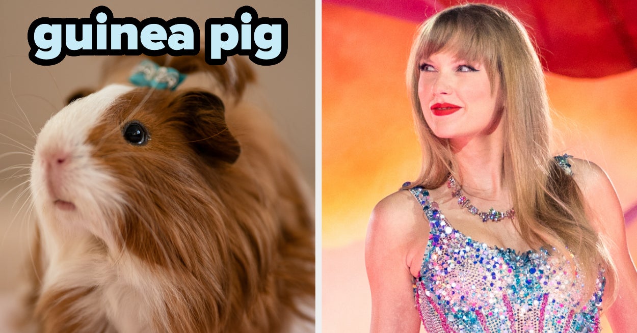 We'll Reveal Your Inner Rodent, But First You Have To Select Some Music Genres