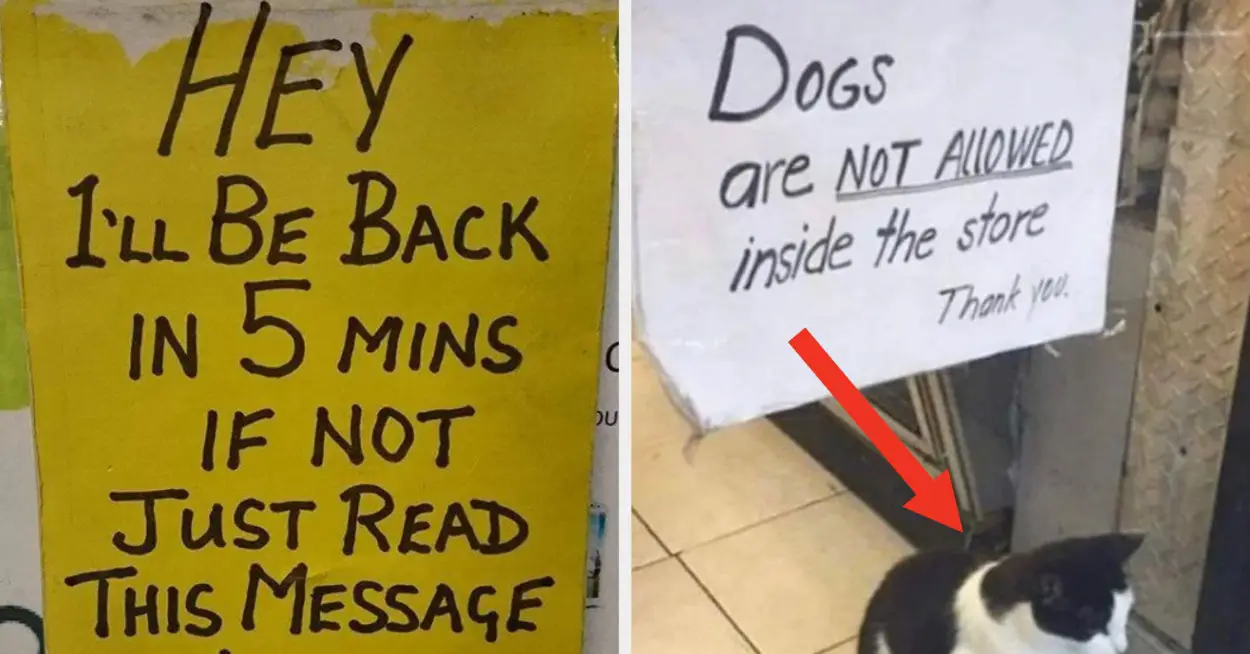 17 Signs From The Past Week That Are So Funny And Delightful, They Had My Giggling And Kicking My Feet