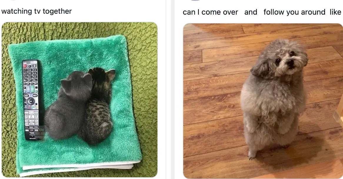 17 Wholesome Posts From This Week That Will Make You Say, "Sadness, Who??"