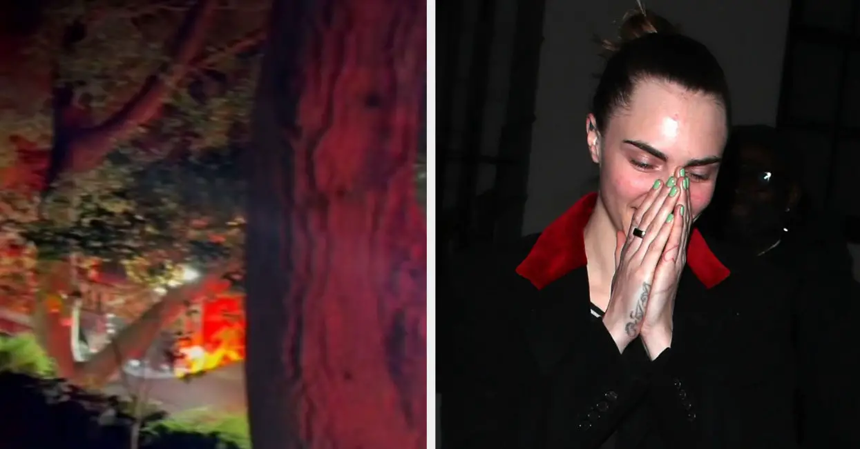 Cara Delevingne House Fire Cause Revealed By Parents