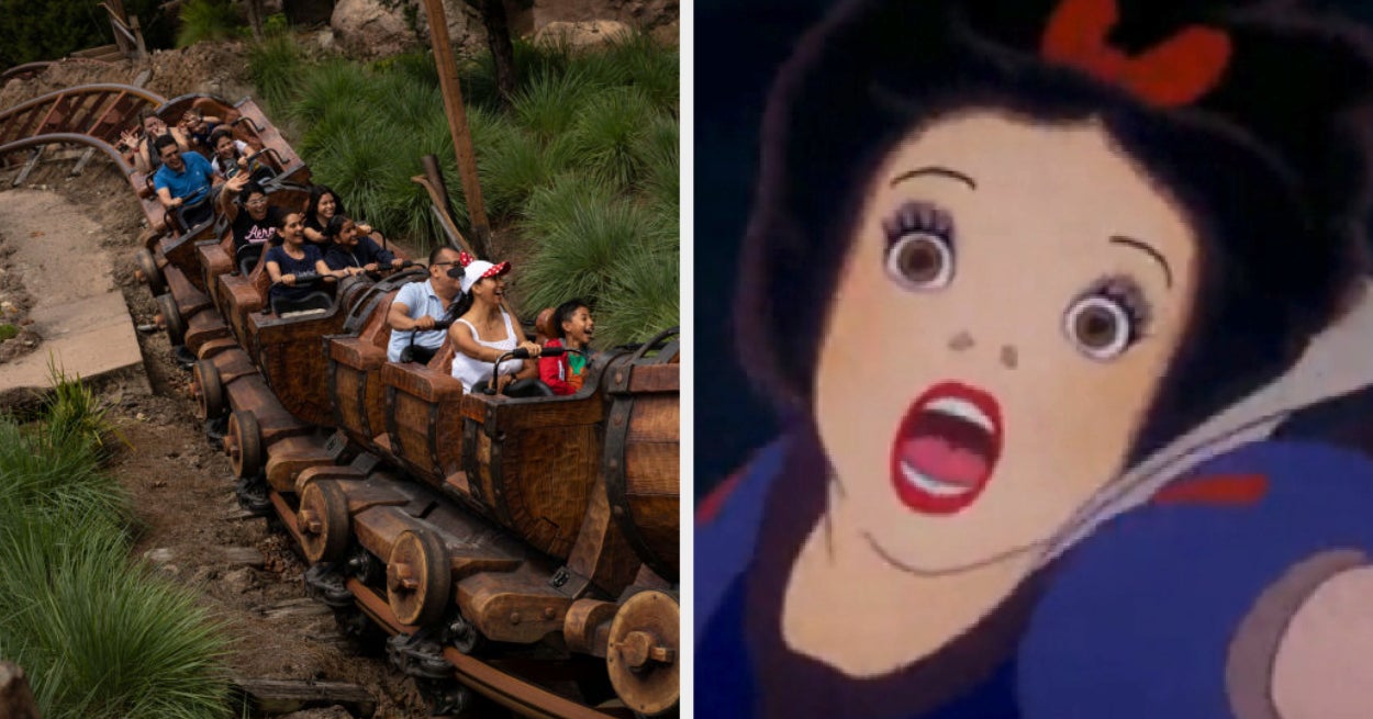 Choose Between Some Disney Animated Movies And I'll Guess Your Favorite Disney Park Roller Coaster