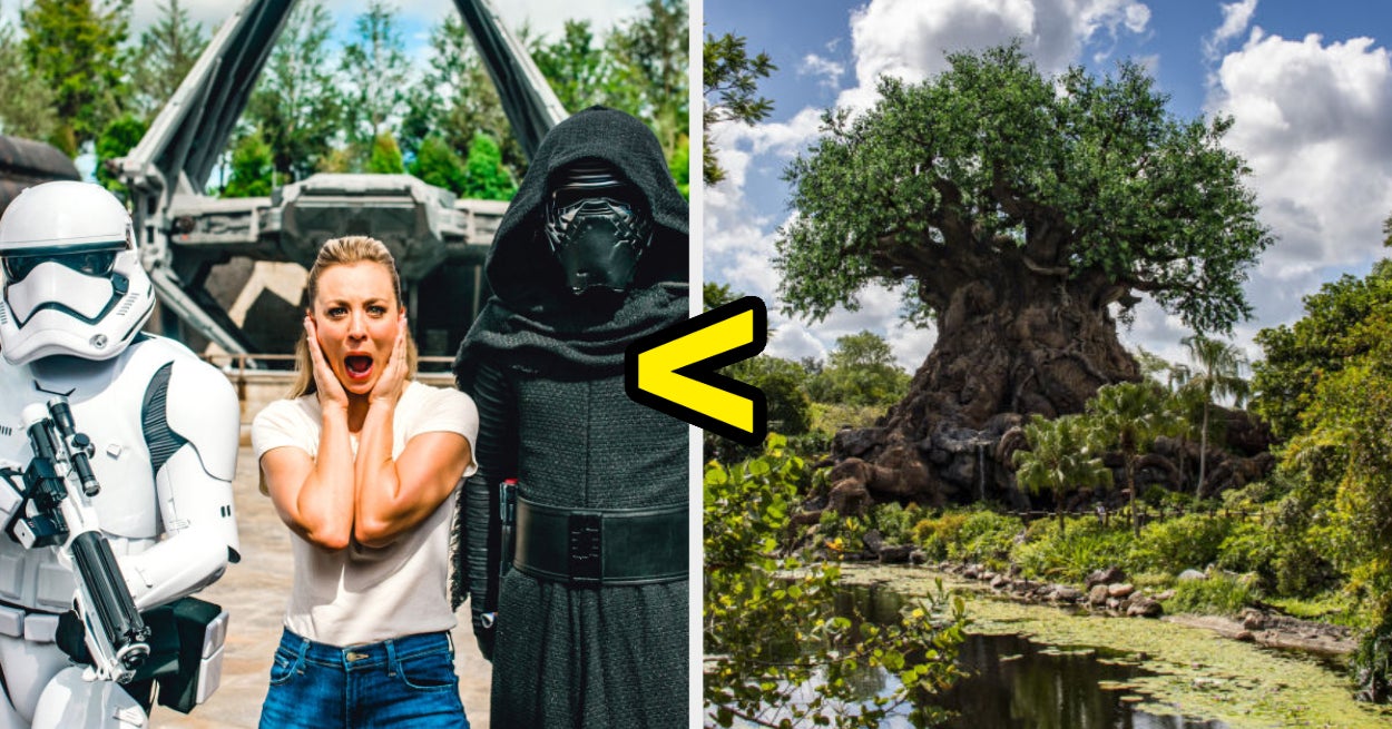 Do You Agree With My Controversial Disney World Opinions?