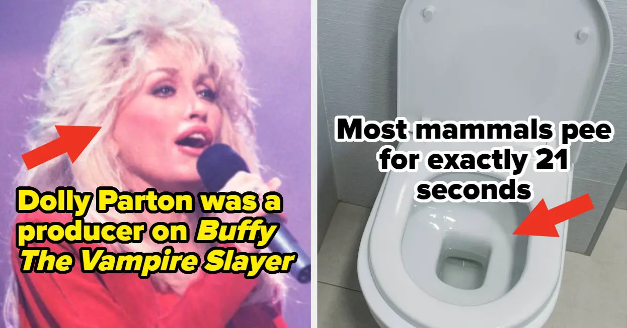 Dolly Parton Was A Producer On "Buffy The Vampire Slayer," And 18 Other Random Facts That Seem Fake But Are True