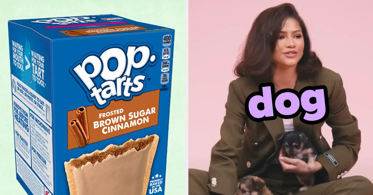 Eat Some Pop-Tarts And We'll Tell You Which Pet You Should Get