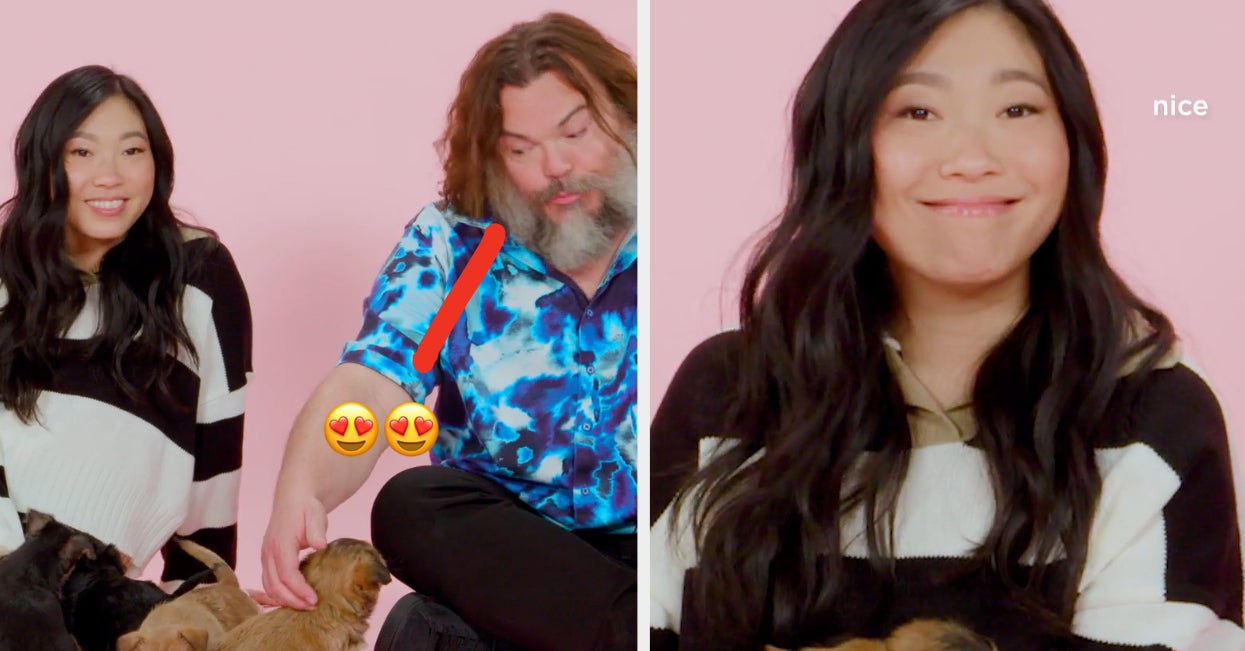 Jack Black And Awkwafina Puppy Interview