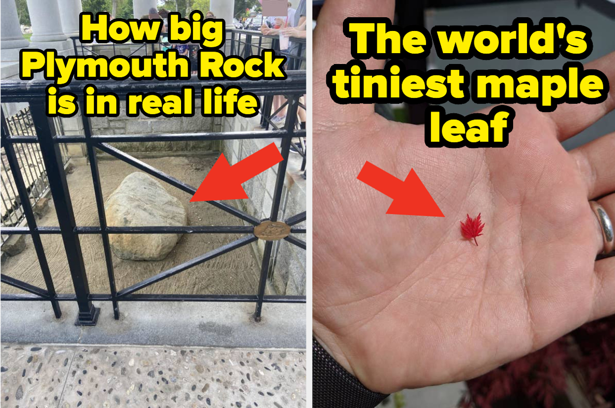 My Dumb Little Brain Just Got Turned To Mush After Seeing These 22 Absolutely Mind-Bending Pictures For The First Time Last Week