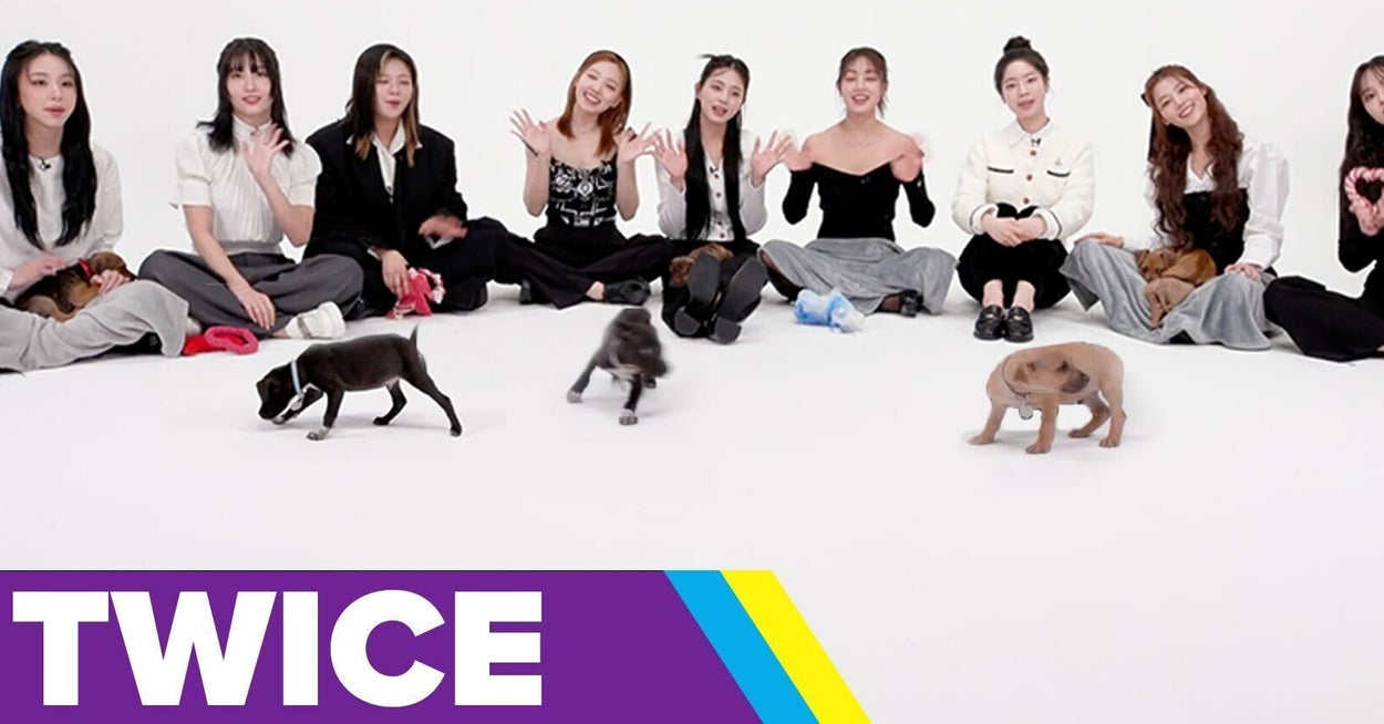 TWICE Played With Puppies, And It's My New Favorite Thing