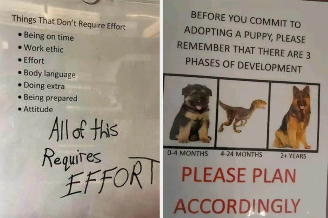19 Funny Signs From The Past Week Guaranteed To Have You Chuckling Through The Pain