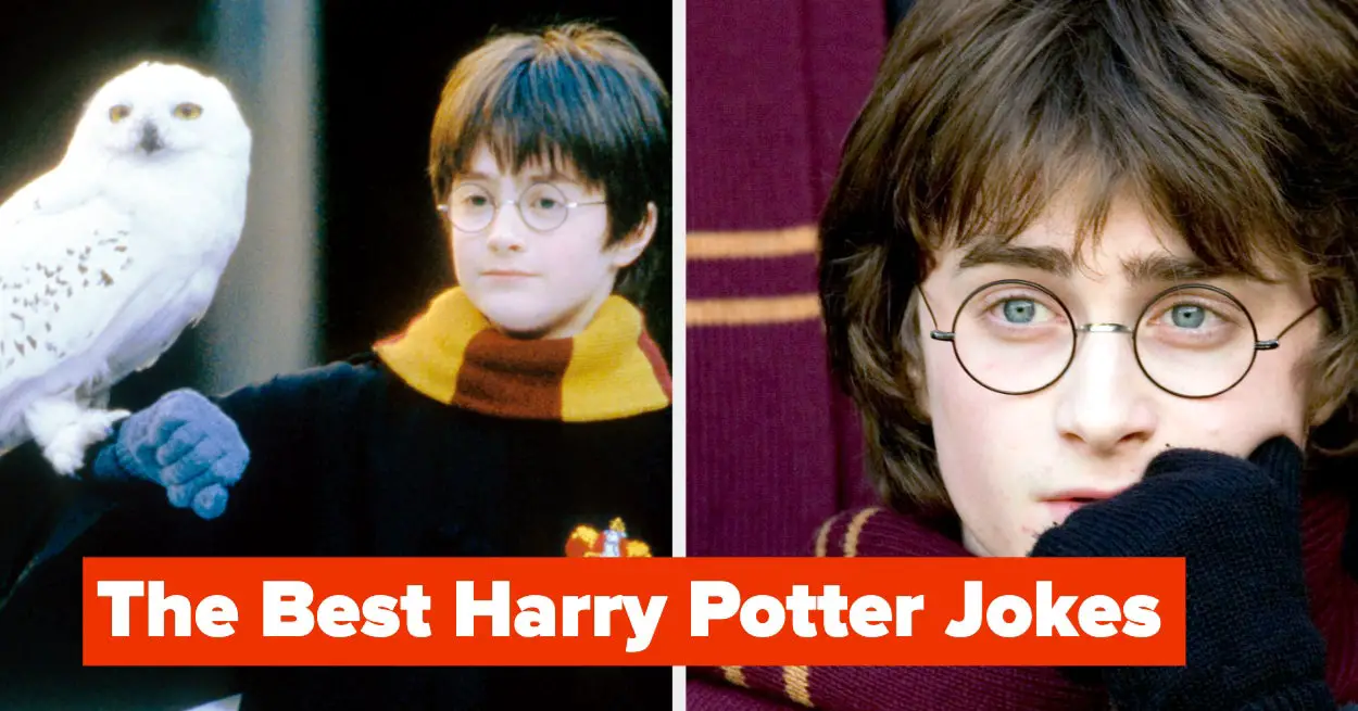 35 Harry Potter Jokes That Are Just Too Funny