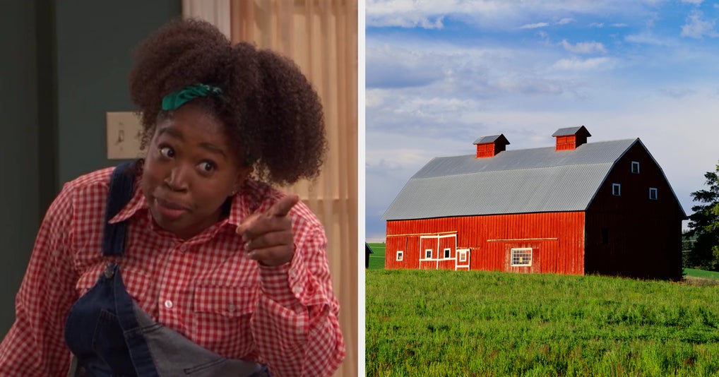 Build A Farm And We'll Tell You What Your Favorite Subject Is