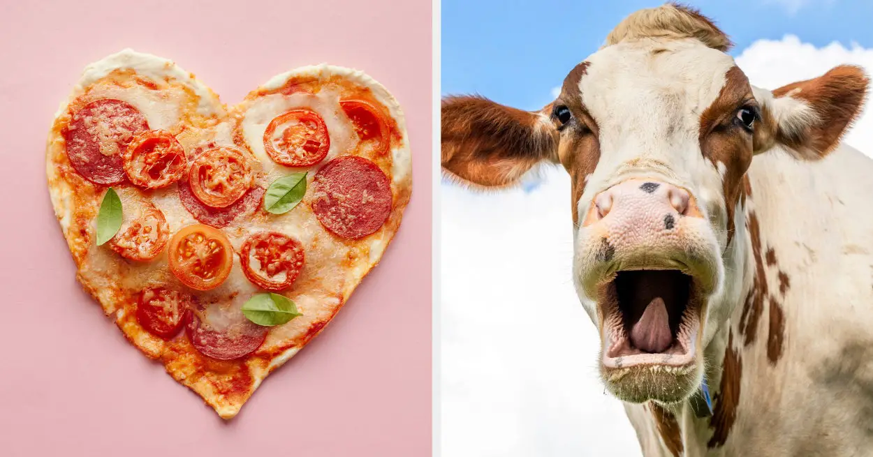 Build A Pizza To Find Out What Farm Animal You Should Own