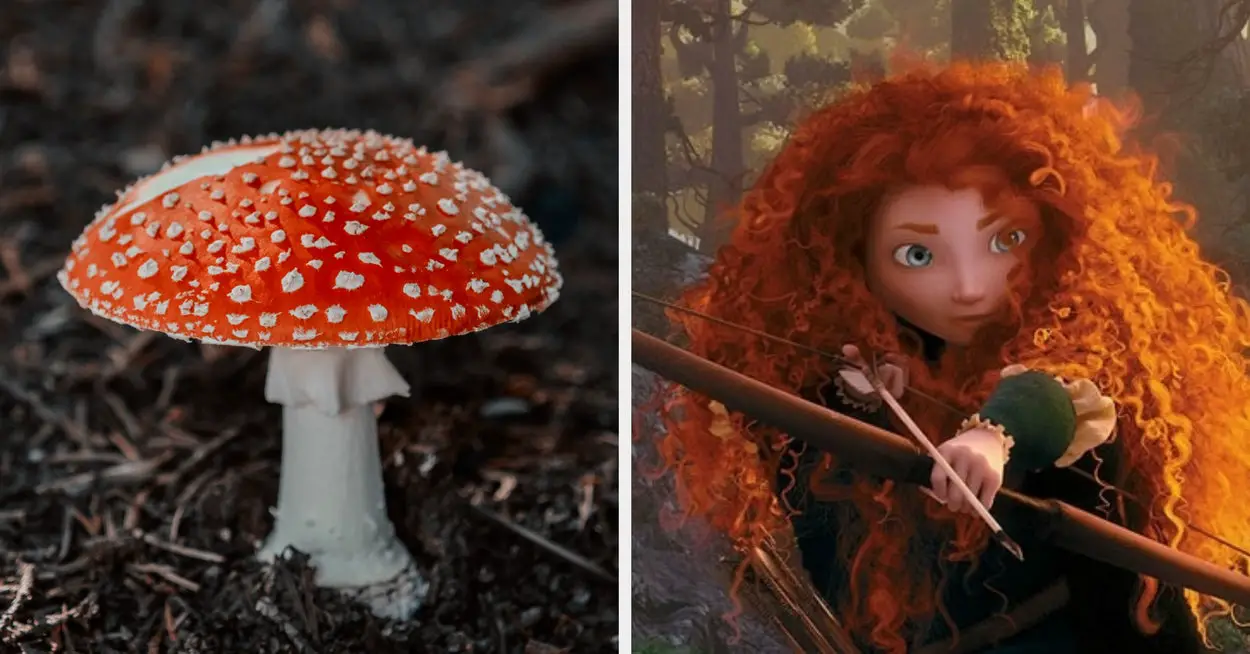 Choose Some Mushrooms And I’ll Tell You Which Disney Princess You Are