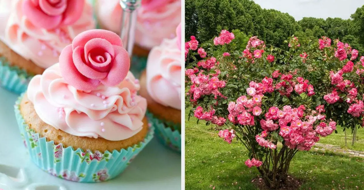 Eat A Huuuuuge Wedding Cake And I'll Reveal Which Shrub Matches Your Soul