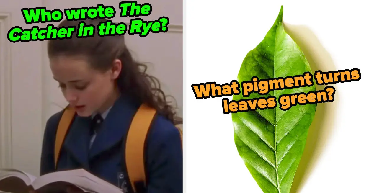 Only Current And Former Gifted Kids Will Be Able To Score 100% On This Random High School Knowledge Quiz