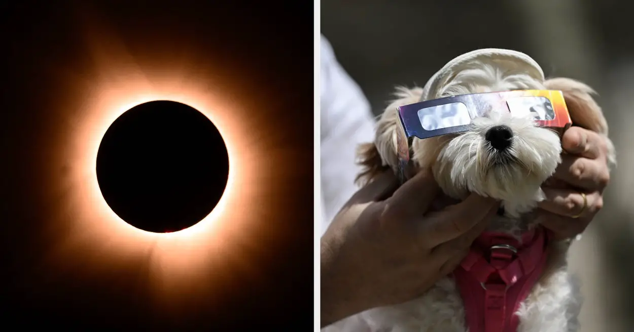 Photos Of The Total Solar Eclipse & Crowds Gathering Across North America
