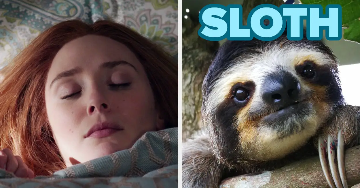 Plan The Perfect Nap To Discover Your Inner Animal
