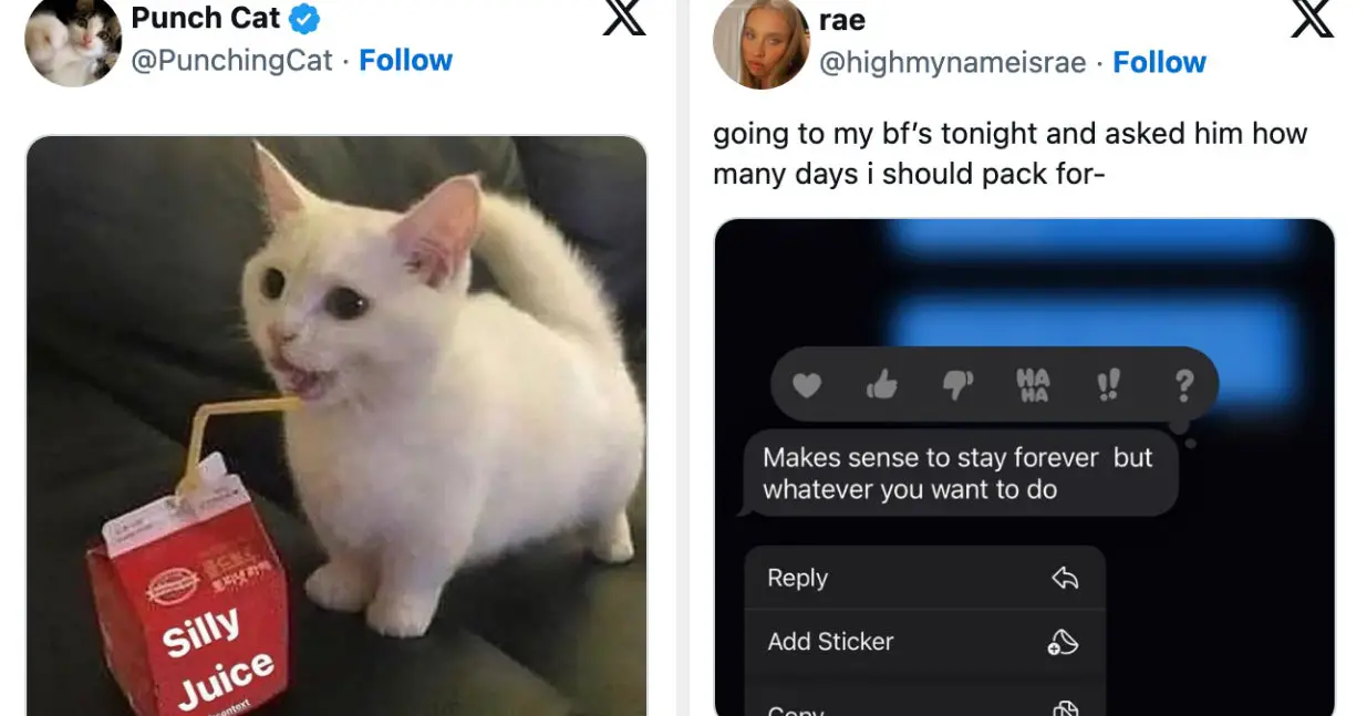 The Most Wholesome Posts Of The Week That Will Wrap All Your Troubles In A Warm Blanket