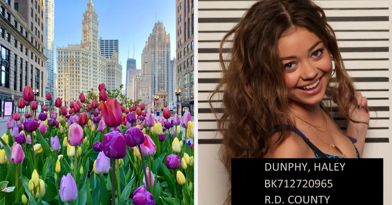 Travel Around The USA To Reveal Which Dunphy Sibling You Are