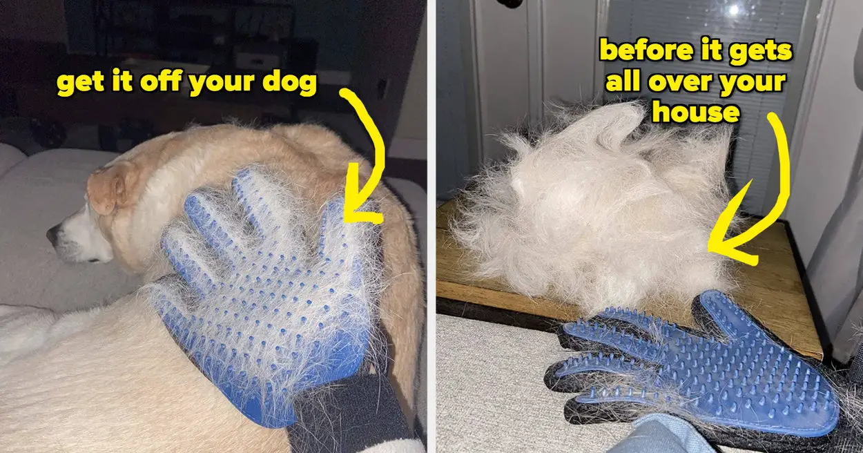 25 Products From Amazon With Before And After Photos That Should Seriously Impress Any Dog Owner
