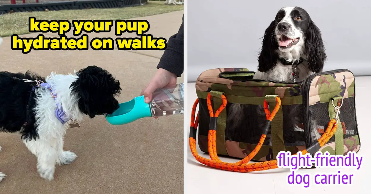 27 Products That’ll Make You Feel Like You Have A PhD In Owning A Dog