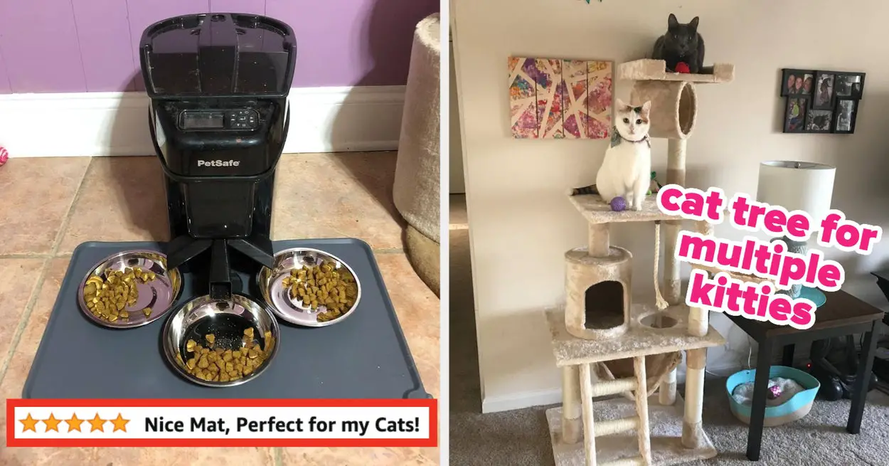 28 Products That’ll Make You Feel Like You Have A PhD In Owning A Cat