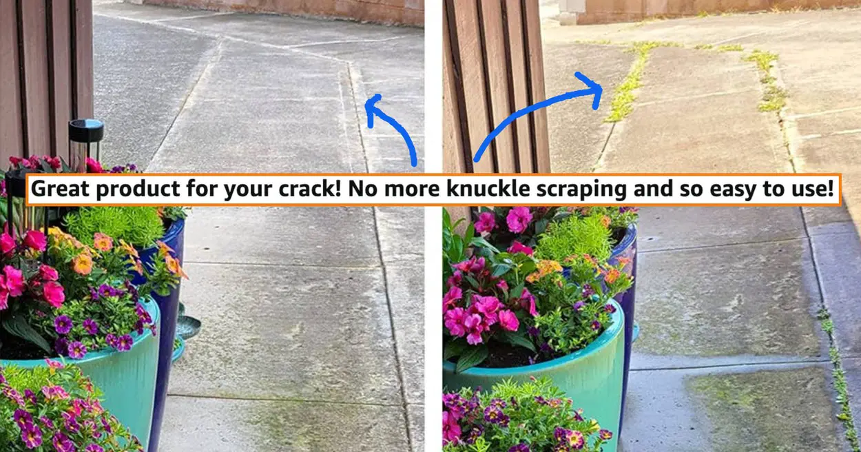 29 Products That’ll Instantly Upgrade Your Backyard