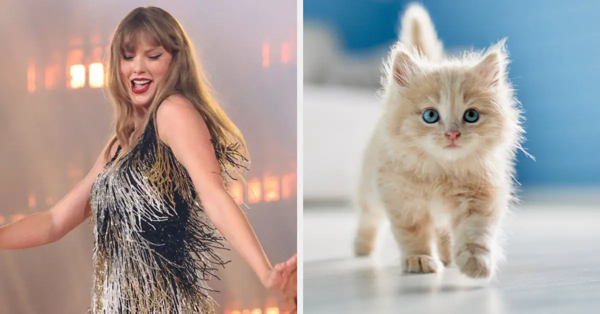 Choose Some Pets And I'll Tell You What Taylor Swift Era You're In