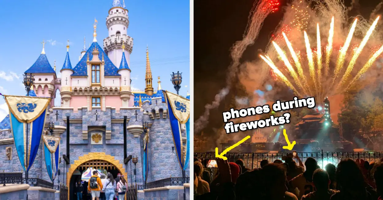 Here Are Some Hot Takes On Disneyland/Disney World Etiquette — Let's See Where You Stand