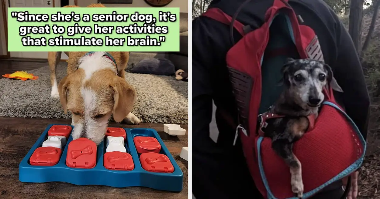 Just 25 Things That Your Elderly Dog Will Thank You For Buying