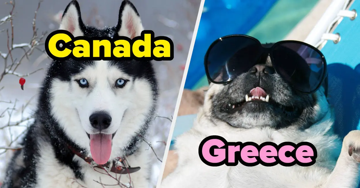 Pick Some Locations That You'd Like To Visit And Reveal Your Inner Dog Breed