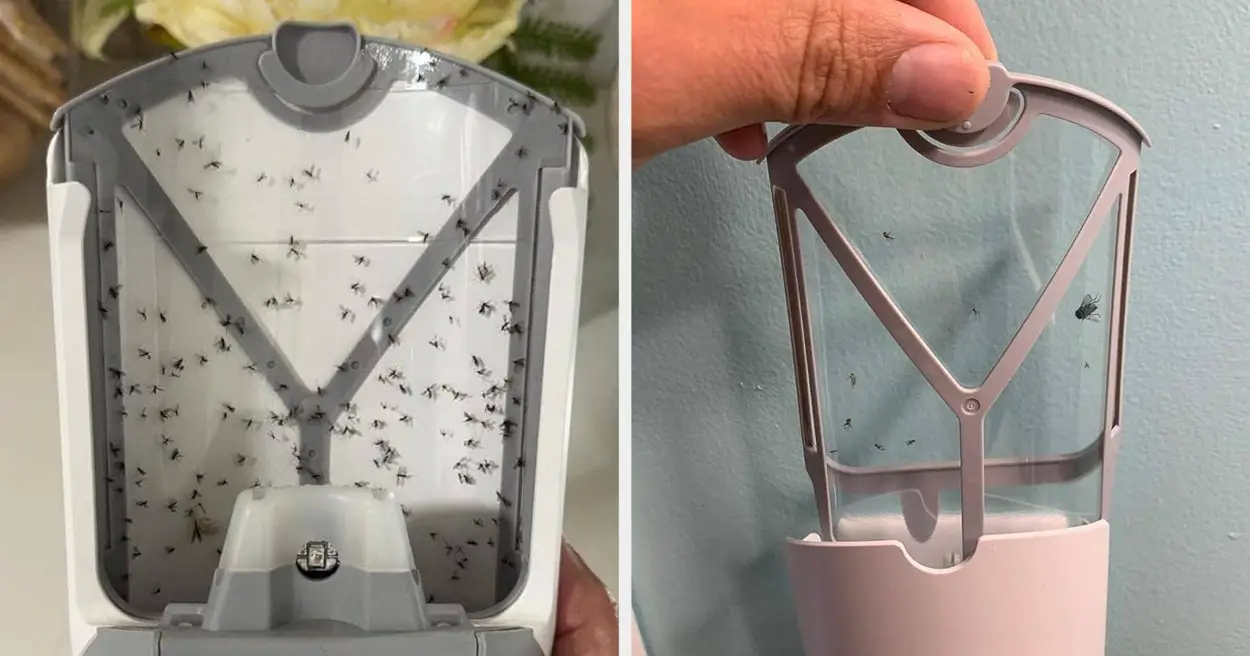 This $20 Bug Hack Will Save Your Home This Summer