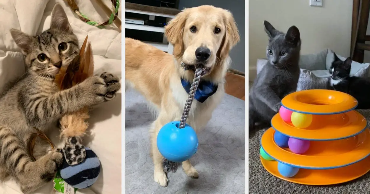 This List Will Help You Discover Your Pet’s New Fave Toy
