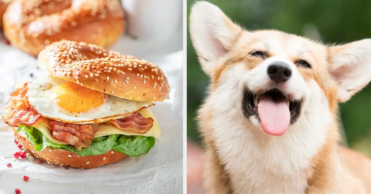 Whip Up A Sandwich And I'll Reveal Which Puppy You Are