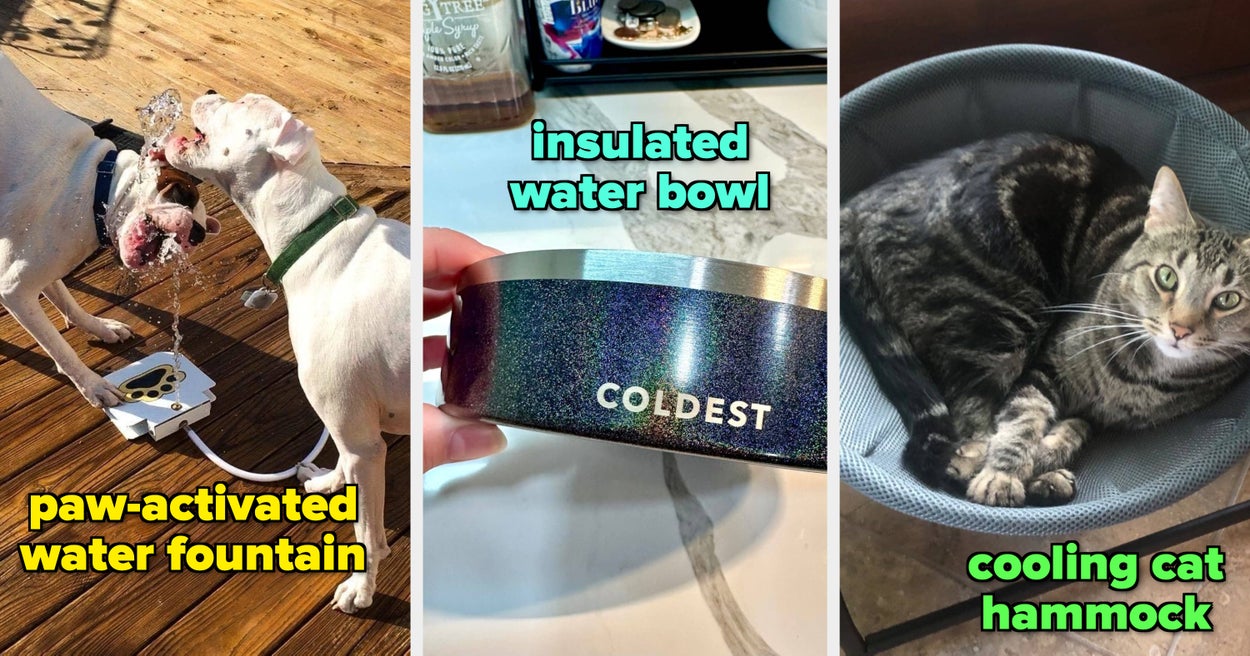25 Products Pet Parents Swear By For Keeping Pets Cool And Comfortable During The Warmest Months Of The Year