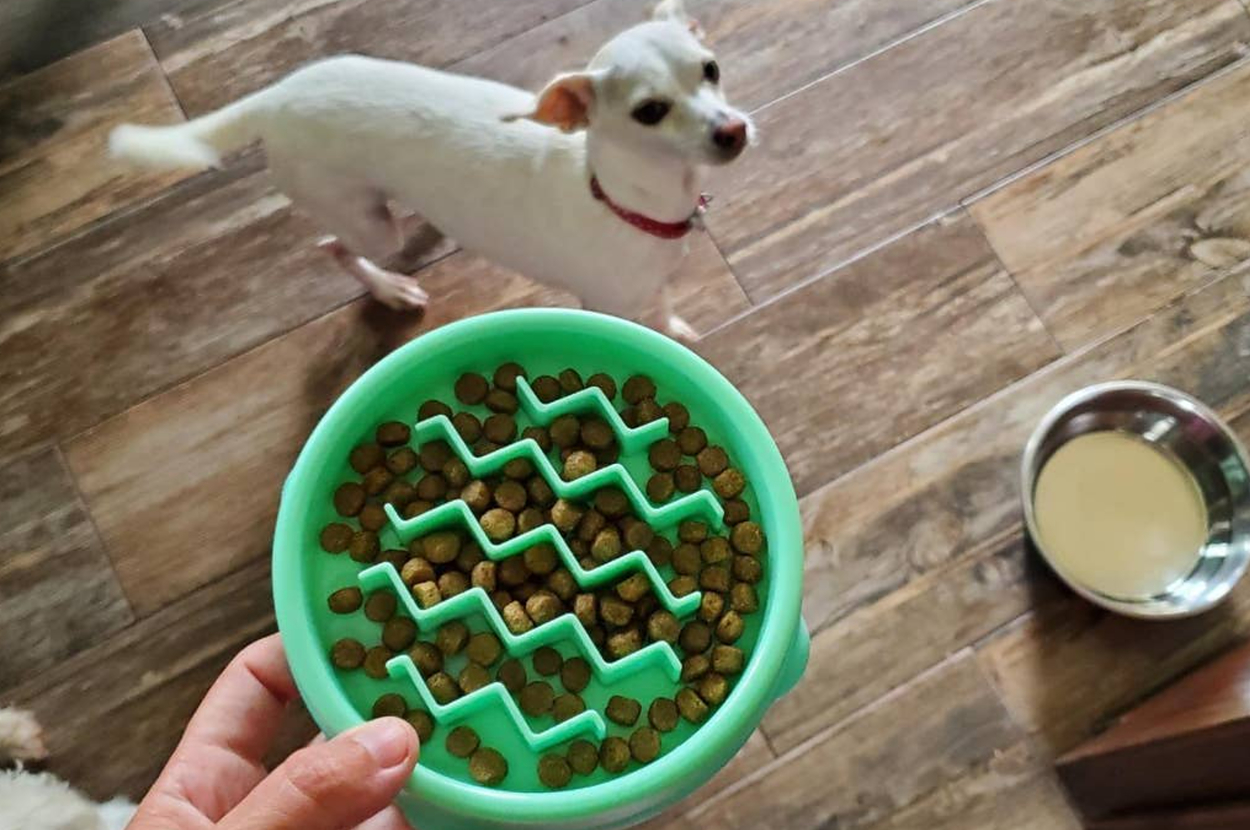 26 Things To Help Run A Multi-Pet Household As Smoothly As Possible