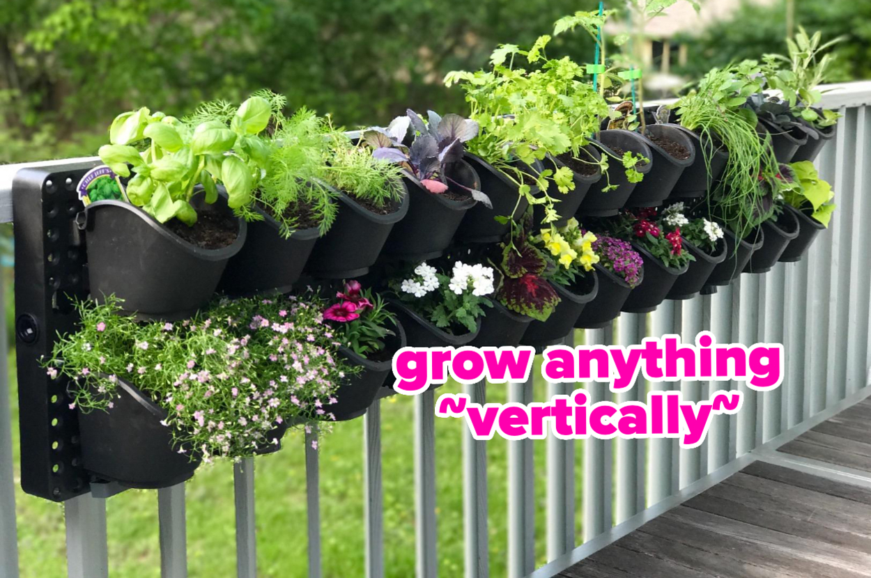 28 Gardening Products That Actually Work And Have The Photographic Evidence To Prove It