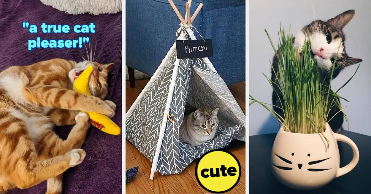 30 Cat Products That'll Earn You Infinite Cuddles