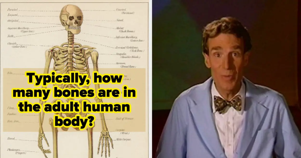 Can You Pass This Basic-Level Science Quiz?