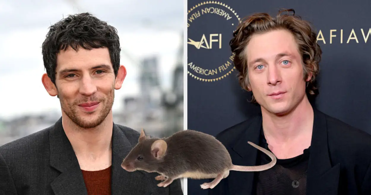 Hot Rodent Boyfriend Celebrities Poll Quiz
