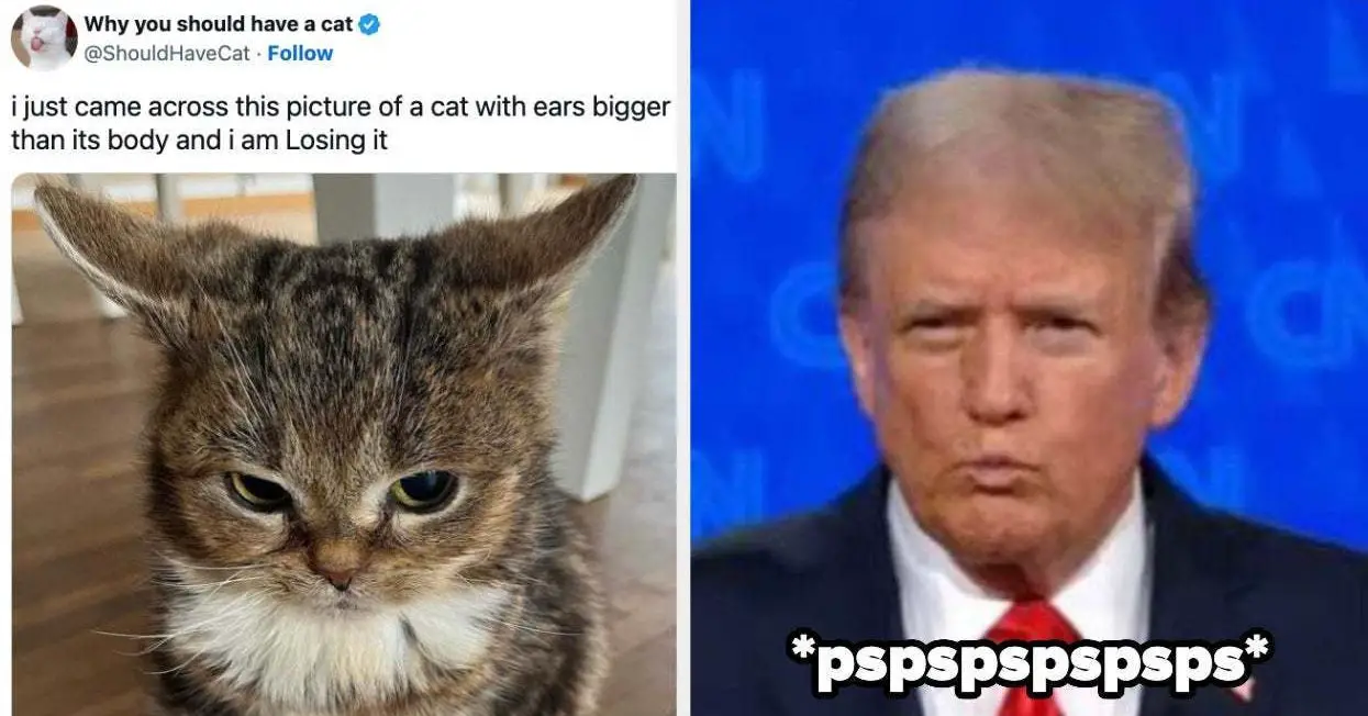 If The Debate Had You Feelin' Down, Here's 18 Wholesome And Happy Memes That Prove The World Hasn't Completely Gone To Sh*t
